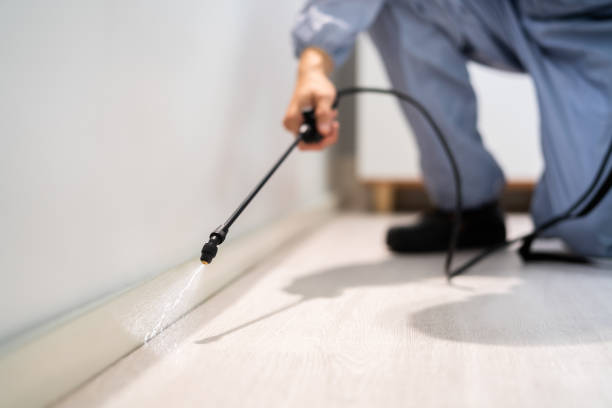 Licensed Pest Control service in Rantoul, IL - Show Me Pest Control
