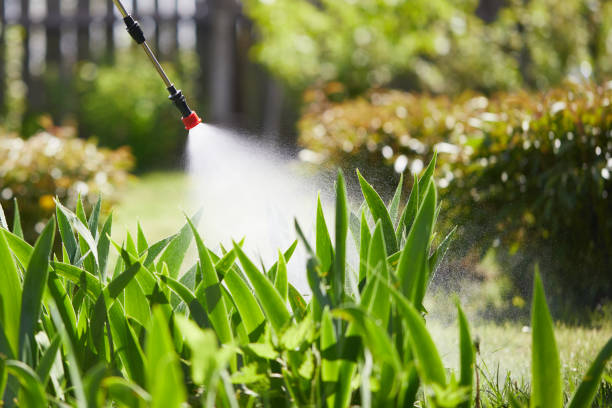 Tamper-Resistant Bait Stations for Rodents in Rantoul