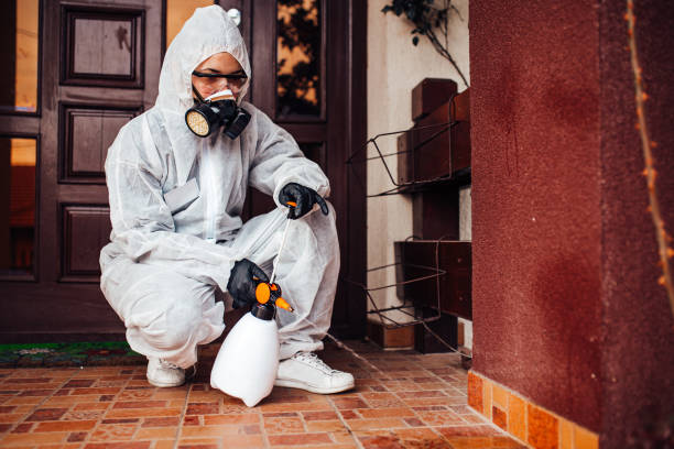 Attic and Crawl Space Rodent Treatment in Rantoul