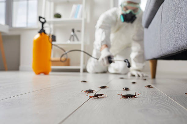 Commercial Rodent Management in Rantoul